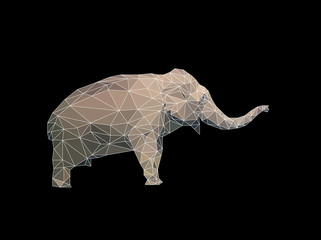 low polygon elephant