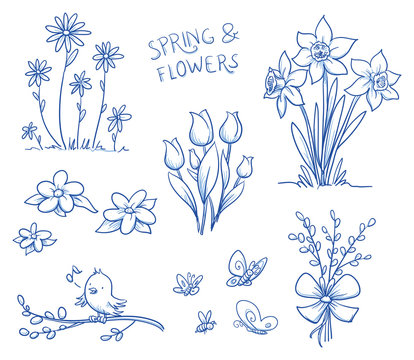 Spring and summer flower collection, with tulips, narcissus, singing bird on a pussy willow brach, marguerite, butterflies and bee. Hand drawn vector illustration.