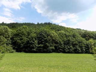 Meadow, forest and sky