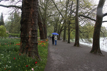 In the spring park