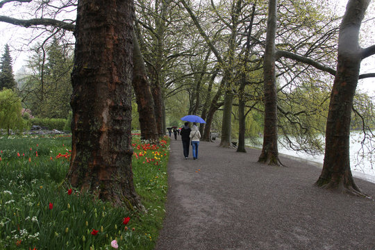 In the spring park