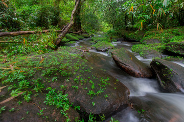 Fototapeta na wymiar waterfall in the tropical forest.