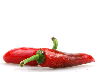 Red chili pepper