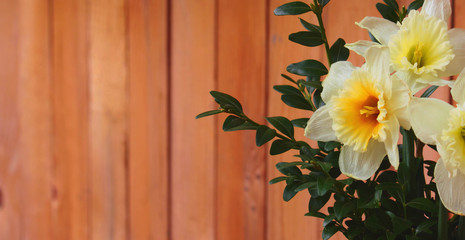 beautiful flowers on a background of wood