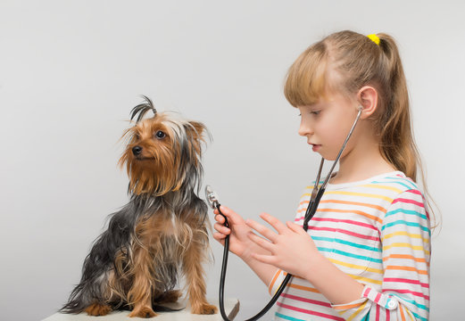 Little girl and a dog, veterinarian doctor