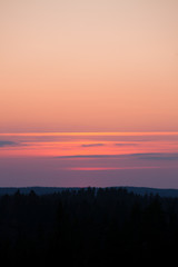 Sun setting over forest