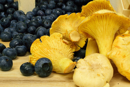 Heidelbeeren und Pfifferlinge