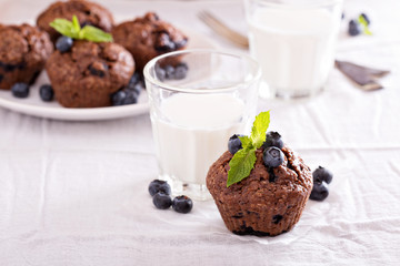 Chocolate muffins with blueberries