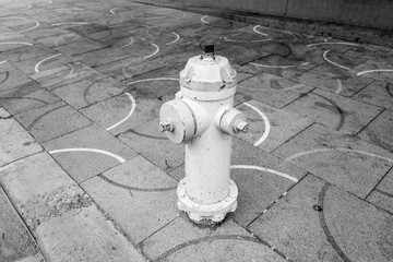 Fire Hydrant
