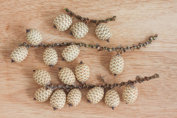 Rattan fruit