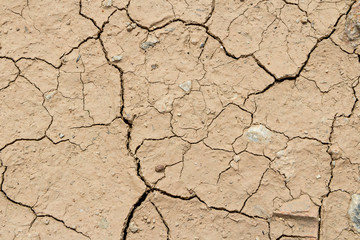 Dry cracked ground filling the frame as background