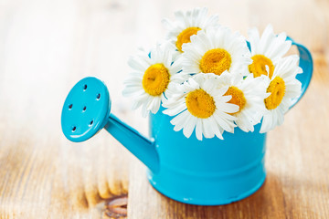  Flowers in watering can