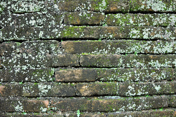 Ancient brick with lichen at Thai temple, Thailand, Asia