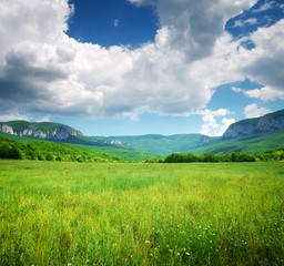 Green meadow in mountain.