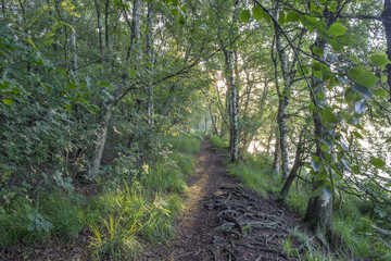 Landschaften in Ostfriesland, das Wolfsmeer