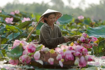 Foto op Canvas Farmers are collecting lotus in garden © EmmaStock
