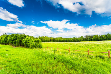 Field in the forest enclosed by a wooden fence on a background of the cloudy sky