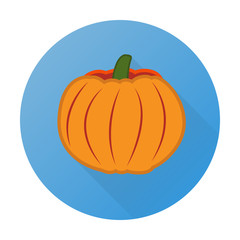 Vector vegetable flat icon of pumpkin