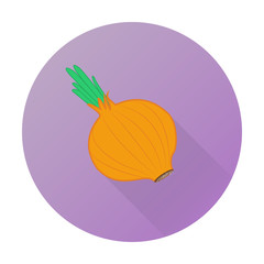 Vector vegetable flat icon of onion