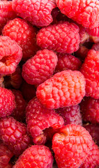 raspberries background
