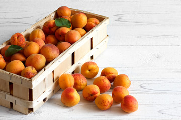 Wood box of whole orange apricots with red blush on rustic white