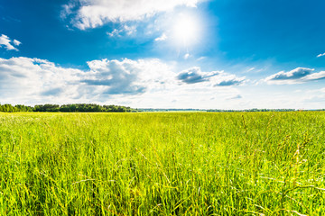 Sun comes out of cumulus clouds and illuminates a fields in the forest