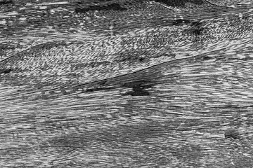 Black and white Wooden texture background