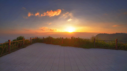 Colorful of Spring Mist, trees are wet, damp fog of forest