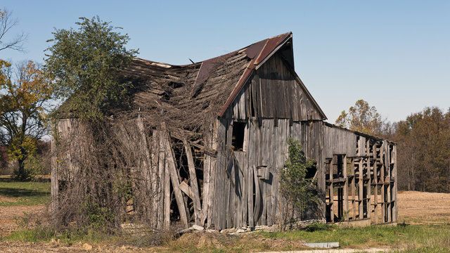 Landscape with a collapsing old barn