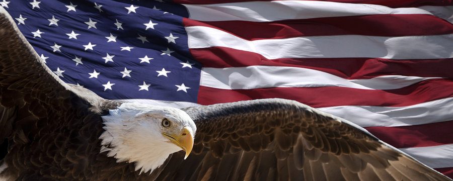 Eagle Flag Images – Browse 45,076 Stock Photos, Vectors, and Video