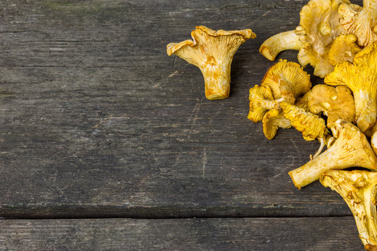golden chanterelle mushrooms on a rustic wooden background