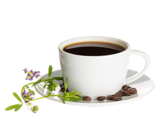 cup of coffee and a wildflower