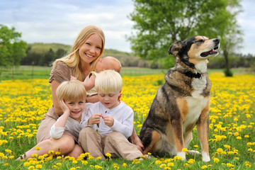 Mother and Three Children and Dog Playing in Flower Meadow
