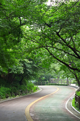 Obraz premium 산책길