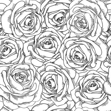 Black and white seamless background. Roses hand-drawn.