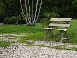 Wooden park bench
