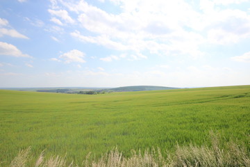 Fototapeta premium チェコのモラヴィア大草原