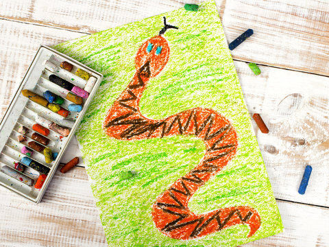 colorful drawing: snake in the grass