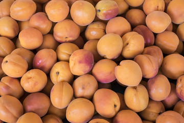 Abricots en vrac