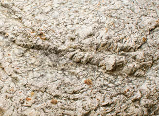 Natural stone granite close up