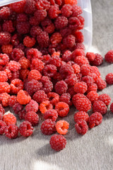 Ripe raspberries scattered on the table