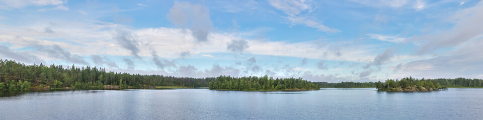 panorama of forest lake