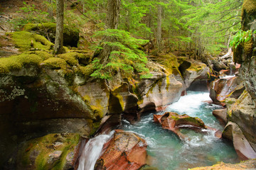 Obraz premium Avalanche Gorge ,Glacier national park ,montana, usa