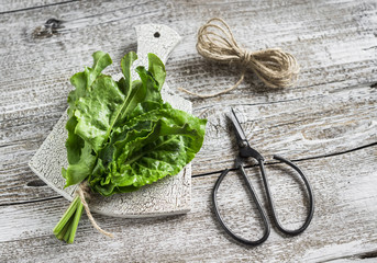 bunch of fresh spinach, old vintage scissors and twine on a light wooden background