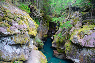 Avalanche Gorge ,Glacier national park ,montana, usa