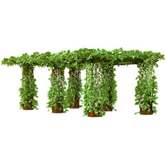 Pergola on the brick pillars