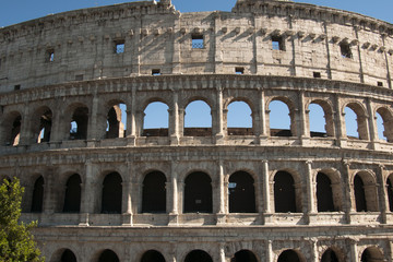 Obraz premium Coliseum during the day