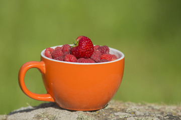 an orange cup filled with fresh berries