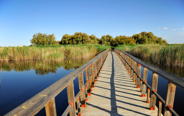 Naklejka premium Tablas de Daimiel National Park, Castilla la Mancha, Spain