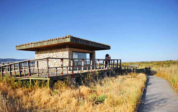 Observatory, panoramic viewpoint, Tablas de Daimiel National Park in the spring, Castilla la Mancha, Spain